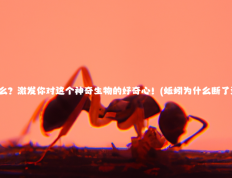 蚯为什么？激发你对这个神奇生物的好奇心！(蚯蚓为什么断了还能活)