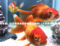 十大养不死的热带鱼：让您开启水族箱的终极选择！(十大养不死的热带鱼中大型鱼)