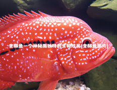 含肺鱼一个神秘而独特的生物珍品(含肺鱼图片)