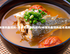 四海钓鱼饵料–提升你的垂钓技巧(四海钓鱼饵料配方视频)