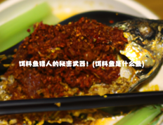 饵料鱼猎人的秘密武器！(饵料鱼是什么鱼)